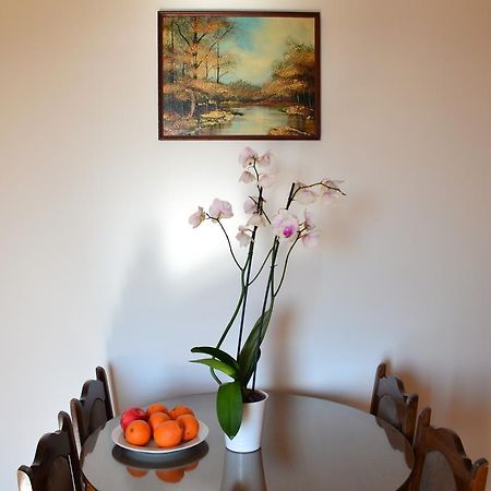 Apartment Matea Petrovac ภายนอก รูปภาพ