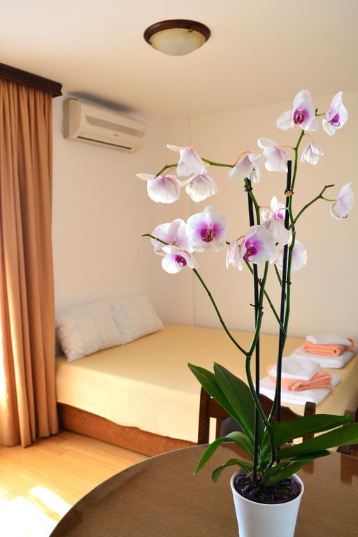 Apartment Matea Petrovac ภายนอก รูปภาพ